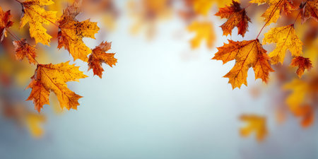 Stunning Autumn Fall Landscape with Vibrant Colors, Picturesque Foliage, and Golden Light Themeの素材