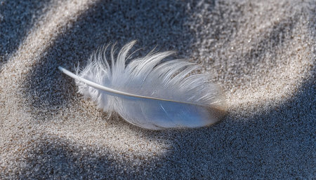 A Delicate White Feather Resting on Soft Sand at the Beach, Capturing Nature s Serenity and Beautyの素材