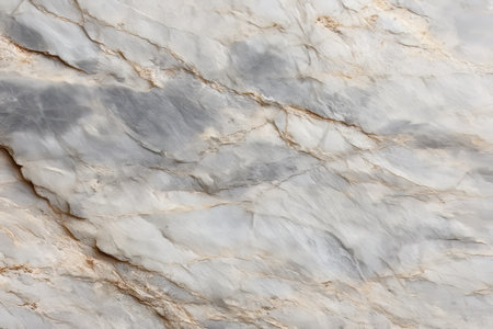 Elegant Close-Up of Swirling Gray Textures Creating a Neutral Background for Creative Design Needsの素材