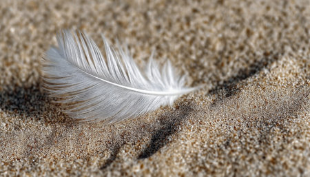 Graceful White Feather Resting on Sunlit Sand, Capturing Nature s Serenity and Peaceful Essenceの素材