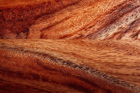 Elegant Mahogany Wood Texture Background with Fine Grain Patterns for Luxurious Interior Designsの素材