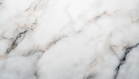 Elegant Backdrop Material Featuring Bright Marble Stone Surface with Unique Patterned Veinsの素材