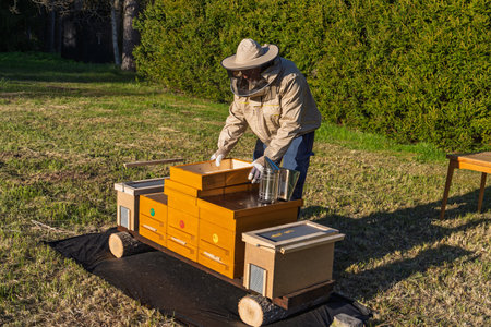 Beekeeper Inspecting Beehives in an Apiary, Ensuring Colony Health and Honey Production