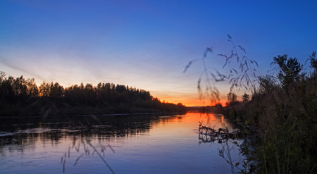 River in the forest in the late evening after sunsetの写真素材