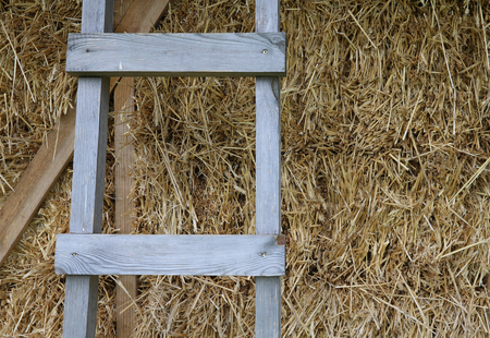 ladder near the eco house wheat wall