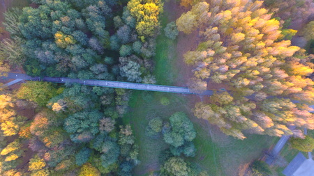 Bridge in autumn in park by droneの写真素材