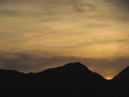 Silhouette of a mountain at sunset with birds flying in the skyの写真素材
