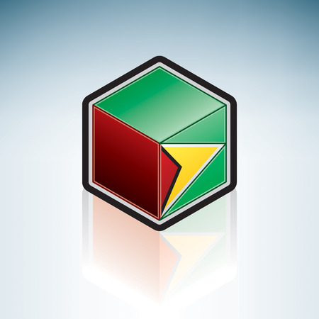 Flag of Co-operative Republic of Guyana (South America)のイラスト素材