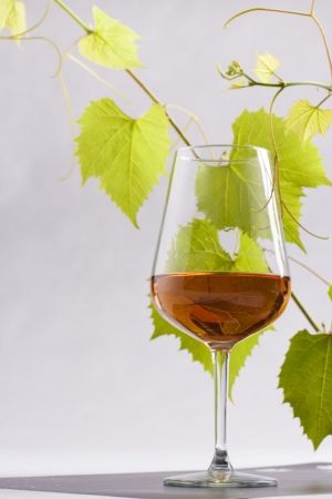 Rose wine glass with some grape leafs on a solid bright backgroundの写真素材