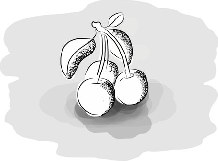 Juicy fruits - Sweet red cherries. Layered EPS file with some transparency effects added.のイラスト素材