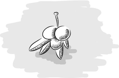 Three green olives drawing on grey background. 
Layered EPS file with some transparency effects added.のイラスト素材