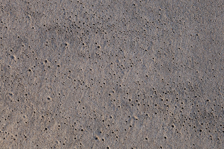 Flat sand on the beach with small black holes, for backgroundの写真素材