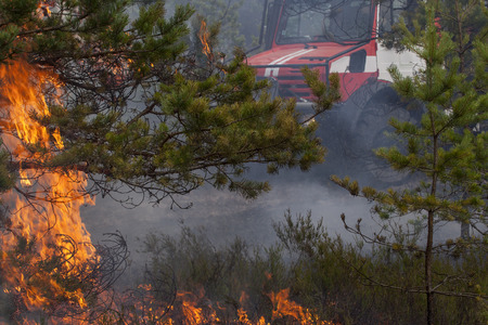 Fire engine behind forest fire flames and smoke.の写真素材