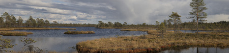 Northern landscape from Finland bogs. Kauhaneva-Pohjankangas National park. Wide high resolution...