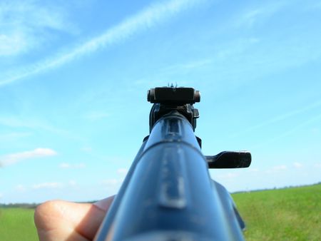 photo shows a view of Firearm while putting a warning shot