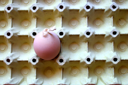 A malformed egg only in the boxの写真素材