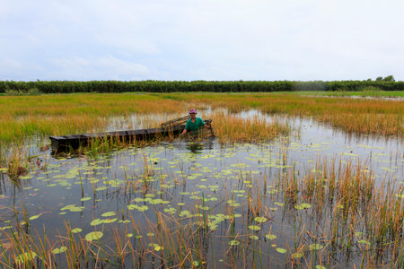 The author took a photo shoot on Sunday morning October 11, 2020. Location in Long An province, Vietnam. Description: fishermen are setting river fish traps.のeditorial素材