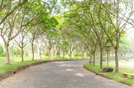 Landscape photo: a trail going down Giang Dien waterfall (Vietnam)のeditorial素材