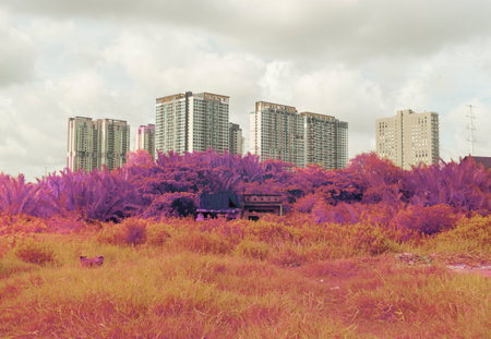 Time: June 25, 2021. Location:Viet Nam. Content: Through infrared light, the author noticed that the...