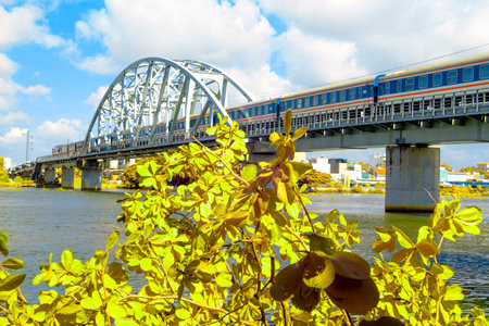 Time: June 28, 2021. Location:Viet Nam. Content: Through infrared light, the author noticed that the scene had an interesting color change.のeditorial素材