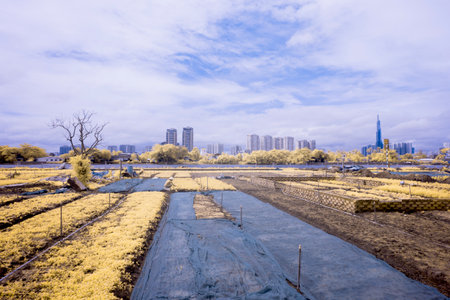 Time: July 9, 2021. Location: Ho Chi Minh City. Content: through infrared light, the author noticed that the scene had an interesting color change.のeditorial素材