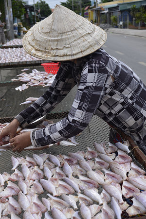 Time: Tuesday morning, October 27, 2021. Location: Can Gio District, Ho Chi Minh City.Traditional craft village photo: girl drying fish with yellow threadのeditorial素材