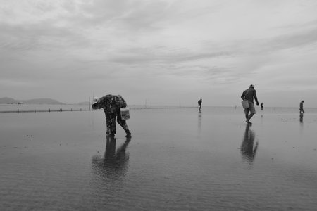 Time: Tuesday morning, October 27, 2021. Location: Can Gio District, Ho Chi Minh City. Black and white landscape photo: a seaside baseball village at dawn.のeditorial素材