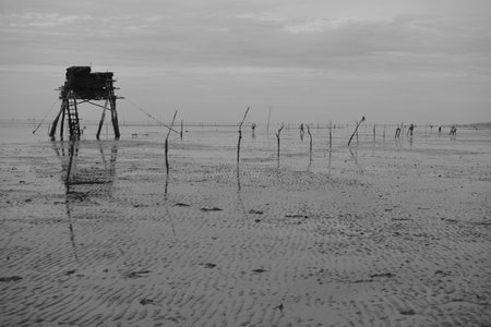 Time: Tuesday morning, October 27, 2021. Location: Can Gio District, Ho Chi Minh City. Black and white landscape photo: a seaside baseball village at dawn.のeditorial素材