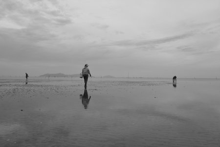 Time: Tuesday morning, October 27, 2021. Location: Can Gio District, Ho Chi Minh City. Black and white landscape photo: a seaside baseball village at dawn.のeditorial素材