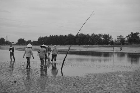 Time: Tuesday morning, October 27, 2021. Location: Can Gio District, Ho Chi Minh City. Black and white landscape photo: a seaside baseball village at dawn.のeditorial素材