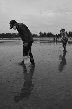 Time: Tuesday morning, October 27, 2021. Location: Can Gio District, Ho Chi Minh City. Black and white landscape photo: a seaside baseball village at dawn.のeditorial素材