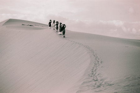 Black and white landscape photo film: girls in Nam Cuong sand dunes. Time: Saturday afternoon, February 5, 2022. Location: Ninh Thuan province.のeditorial素材