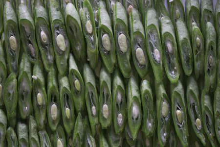Sliced Green Beans Texture Backgroundの写真素材