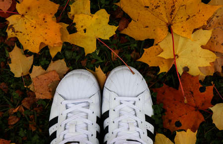 Black and white sneakers on ground with autumn leavesの写真素材
