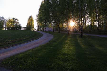 Sun rays between trees and a wide green grass areaの写真素材