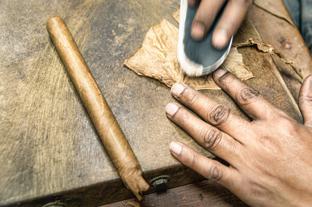 Real production of an handmade Cigar - Little Havanaの写真素材