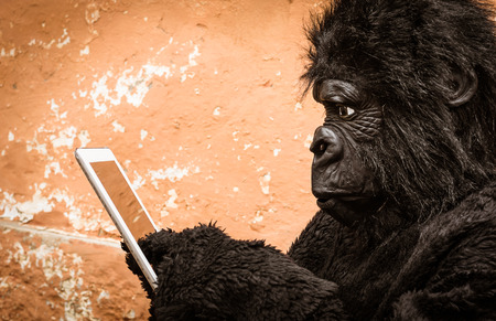 Gorilla with Tablet - Concept of animal monkey adaptation to new modern life technologiesの写真素材