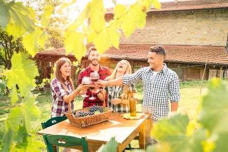 Happy friends having fun drinking wine at winery vineyard - Friendship concept with young people enjoying harvest time together at farmhouse - Warm filter with enhance sun flare halo - Leaves in frameの写真素材