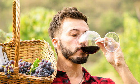 Young man enjoying red wine taste at winery vineyard outdoors - Expertise concept with professional sommelier tasting bio product at harvest time - Organic grape production experience at farmhouseの写真素材