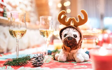Stuffed dog toy wearing reindeer ears sitting upon table near champagne glasses on Christmas holidays background - Winter festivity and fun concept with plushie animal puppet on xmas decorationの写真素材