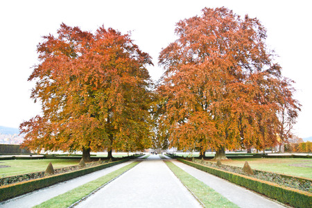 Beautiful trees in Cesky Krumlov during Autumnの写真素材