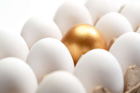 A carton of eggs in the golden eggsの写真素材