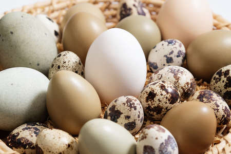 In the basket of eggs, duck eggs quail eggs
