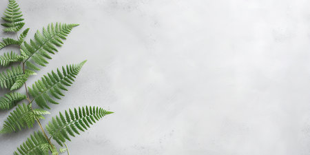 Green fern leaves on concrete background. Flat lay, top view, copy spaceの写真素材