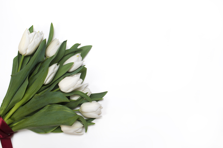 Beautiful spring flowersの写真素材