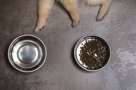 Dry dog food in bowl and puppy dog .Top viewの写真素材