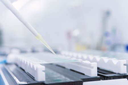 Scientist with dropper working at the laboratory.medical concept. Corona virus pandemic concept....