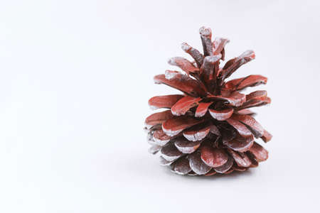Creative christmas decoration. Christmas composition. Copy spaceの写真素材