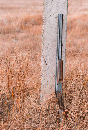 double-barreled shotgun with cartridges, leaning against a pole. hunting conceptの写真素材