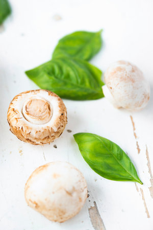 Raw champignons with green basil leaves served on shabby white tableの写真素材